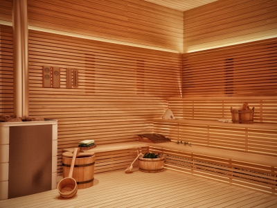 Дизайн интерьера бани с комнатой отдыха